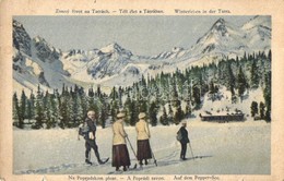 T3/T4 Tátra, Tatry; Téli élet, Síelők A Poprádi Tavon / Popradské Pleso, Winter Sport, Skiing People  (kis Szakadás / Sm - Unclassified