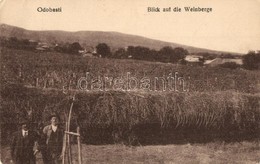 T2/T3 Odobesti, Blick Auf Die Weinberge / Vineyards, Grapes + Munitions Verladekomp Nr. 8. K.u.K. Feldpostamt 377 (EK) - Ohne Zuordnung