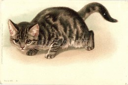 ** T2 Cat, Wezel & Naumann Serie 68. 8. Litho - Non Classés