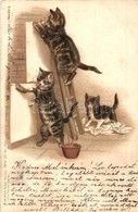 * T2/T3 1899 Wallpapering Cats. Lith-Artist. Anstalt München (vorm. Gebrüder Obpacher) Serie 51. No. 18422. Litho (Rb) - Non Classés