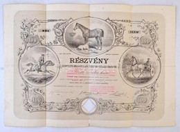 Budapest 1877. 'Lótenyésztés Emelésére Alakult Részvénytársaság Budapesten' Névre Szóló Részvénye 100Ft-ról, Felülbélyeg - Sin Clasificación