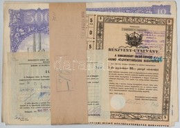 Budapest 1925. 'Rimamurány-Salgó-Tarjáni Vasmű Részvény-Társaság' Tíz Részvénye Egyenként 50P-ről, összesen 500P-ről (2x - Unclassified