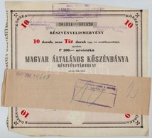 Budapest 1946. 'Magyar Általános Kőszénbánya Részvénytársulat' Részvényelismervénye 10db, Egyenként 200P Névértékű Részv - Unclassified