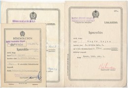 1949-1951. '5 éves Tervkölcsön', 'Békekölcsön' és 'Második Békekölcsön' Jegyzési Igazolások (9x) T:II,II- Ly. - Unclassified