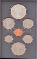 Kanada 1981. 1c-1$ (6xklf) Forgalmi Sor Eredeti Tokban T:PP
Canada 1981. 1 Cent - 1 Dollar (6xdiff) Coin Set In Original - Unclassified