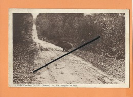 CPA  Abîmée -  Crécy En Ponthieu  -(Somme) - Un Sanglier En Forêt - Crecy En Ponthieu