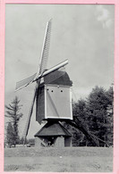 Geel - Larumse Molen - Geel