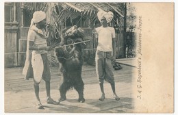 Lot 6 CPA - (Cirque) Gustav Hagenbeck - Exposition Indienne (Groote Indische Teutoonstelling) - Dont Montreurs D'ours - Zirkus