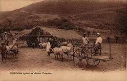 Exploitation Agricole En Guinée Française - Guinea Francesa