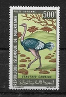 MAURITANIA 1967 Airmail,  BIRDS "ostriche" MNH - Straussen- Und Laufvögel