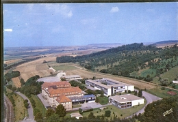 CHATEAU SALINS LYCEE AGRICOLE - Chateau Salins