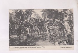 CPA GUINEE FRANCAISE,UN REGIME DE BANANES - Guinée Française