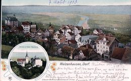 Walzenhausen, Dorf, Hôtel Rheinburg (7.8.1903) - Walzenhausen