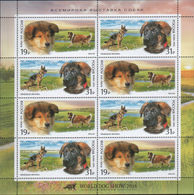 Russia 2016 Sheet World Dog Show Moscow Dogs Animals Fauna Mammals German Scottish Shepherd Colli Farm Stamps MNH - Fogli Completi