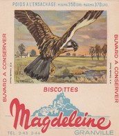 Rare Buvard Biscottes Magdeleine Granville  Faucon - Bizcochos