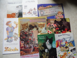 Gros Lot Chats Tous Différents 24  / Cats / Jackpot Katten Allemaal Anders - Disneyland