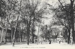 Lavardac (Lot Et Garonne) - Les Promenades - Edition Tuya, Carte N° 5 Non Circulée - Lavardac