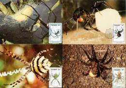 Transkei - 1987 Spiders Maxi Card Set # SG 205-208 , Mi 206-209 - Spiders