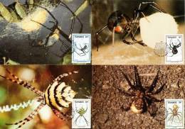 Transkei - 1987 Spiders Maxi Card Set # SG 205-208 , Mi 206-209 - Araignées