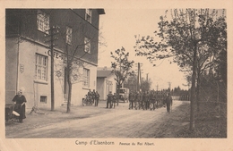 ELSENBORN AVENUE DU ROI ALBERT - Elsenborn (camp)