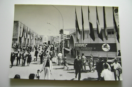 FIERA DEL LEVANTE    BARI  PUGLIA  NON  VIAGGIATA  COME DA FOTO - Fiere