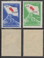 Red Cross - Additional Label Charity TRIESTE B STT VUJNA VUJA - Yugoslavia - Mi. 3+3 - 265 EUR - MNH + MLH - Ungebraucht