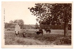 28 - Eure Et Loir / JOUY -- Une Vue Dans La Prairie (troupeau Vaches Et Chevaux). - Jouy