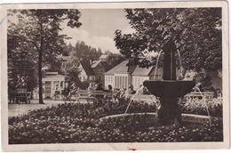 Bad Liebenstein Vom Kurgarten Zum Badehaus  Und Brunnentempel - (D.D.R.) -  1955 - Bad Liebenstein