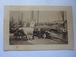 Cartolina Viaggiata "PORTO CON TRASPORTO BUOI" Affrancatura POSTA MILITARE  20 Agosto 1915 - War 1914-18