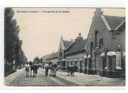 Merxplas (Colonie) - Une Partie De La Ferme 1908 - Merksplas