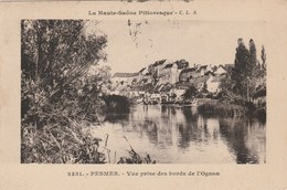 PESMES   70  HAUTE SAONE   CPA     VUE PRISE DU BORD DE L'OGNON - Pesmes