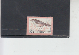 URUGUAI  1963 - Yvert  706 - Uccello - Sparrows