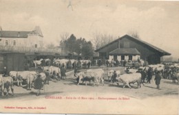 H229 - 71 - GÉNELARD - Saône-et-Loire - Foire Du 18 Mars 1904 - Embarquement Du Bétail - Autres Communes
