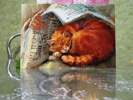 Red Cat Sleeps On The Owner's Lap Vintage Newspaper Art Modern Russian Postcard - Chats