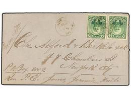 HAITI. Sc.24 (2). 1888. JEREMIE A NEW YORK. 5 Cent. Verde (2), Mat. JEREMIE/HAITI. Manuscrito 'Por Voie P.Pe' (Port Au P - Other & Unclassified