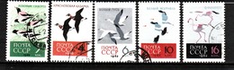 RUSSIE / SERIE DE 5 TIMBRES OISEAUX - Collections, Lots & Series