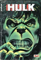 BD COMICS HULK AREDIT FLASH MARVEL N°14 / 1981 - Hulk