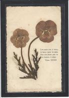 CPA Herbier Vraies Fleurs Séchées Naturelles En Relief Sur Carte Postale 9 X 14 écrite Victor Hugo - Other & Unclassified