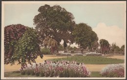 Blenheim Gardens, Minehead, Somerset, C.1950 - Postcard - Minehead