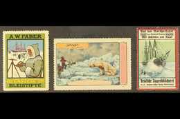 POLAR CINDERELLAS Early 20th Century Three Different Colourful Labels On A Stock Card, Unused No Gum, Small Faults, Scar - Sonstige & Ohne Zuordnung