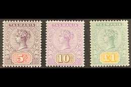 TASMANIA 1892-99 5s, 10s & £1 Top Values, SG 223/225, Never Hinged Mint. Superb And Fresh, Rare In This Condition (3 Sta - Other & Unclassified