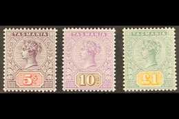 TASMANIA 1892-99 5s, 10s & £1 Top Values, SG 223/225, Never Hinged Mint. Superb And Fresh, Rare In This Condition (3 Sta - Andere & Zonder Classificatie