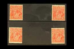 1918-23 KGV 2D HEAD SPECIALIST VARIETIES. A Quad Of Mint Specialist Varieties Of The 2d Rose Scarlet (SG 63), Including  - Other & Unclassified