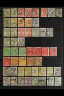 OFFICIALS 1913-1932 USED ASSEMBLY Nicely Displayed On Stock Pages, Includes 1913 Set To 2d (x3), 3d, 4d (x2) & 6d, 1914  - Altri & Non Classificati