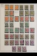 1922 - 1927 ALBERT I MINT COLLECTION Semi-specialised Collection Of This Definitive Issue With Duplicated Values To 10fr - Other & Unclassified