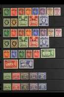 TRIPOLITANIA 1948-1951 COMPLETE SUPERB MINT COLLECTION On A Stock Page, All Different, Includes 1948 (120L On 5s Is NHM) - Afrique Orientale Italienne