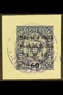 VENEZIA GIULIA 1918 60h, No Dot Over First "i" In "GIULIA" VARIETY, Sassone 12l, Very Fine Used On Piece. For More Image - Unclassified