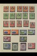 1953-81 A Fine Mint Or Much Nhm Lightly Duplicated Collection On Pages, Incl. 1956-58 Set, 1962-63 Set, 1964-68 Set, 197 - Jamaica (...-1961)