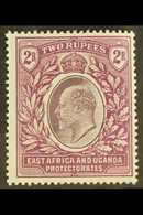 EAST AFRICA & UGANDA 1903 2r Dull And Bright Purple, Ed VII, SG 10, Very Fine Mint. For More Images, Please Visit Http:/ - Vide