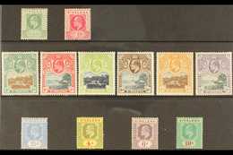 1902-11 COMPLETE KEVII COLLECTION. A Complete Collection Of Definitive & Pictorial Issues, SG 53/70, Very Fine Mint (12  - Sint-Helena